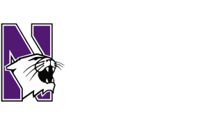 Northwestern University athletics revenue initiative